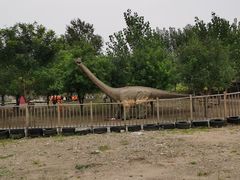 -北京鹿世界主题园