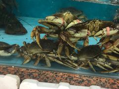-渔人湾码头海鲜市场负二楼