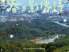 -大屏嶂森林公园