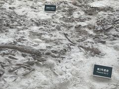 -金沙遗址博物馆
