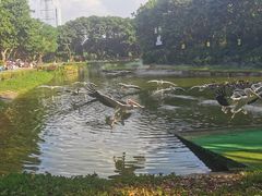 -广州长隆飞鸟乐园