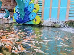 -西双版纳原始森林公园