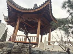 -中国中医科学院望京医院(院本部)