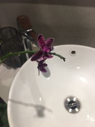 -FineYoga梵音瑜伽·普拉提