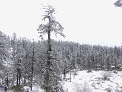 -瓦屋山景区