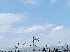 -东港音乐喷泉广场