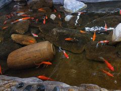 -一桶江山餐厅(松北店)