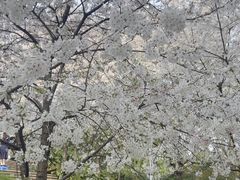 -南山植物园