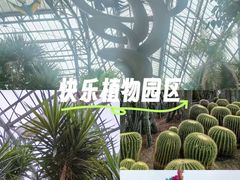 -南山植物园