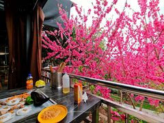 -桃源山庄·水蜜桃采摘·柴火鸡·烧烤团建(龙泉山店)