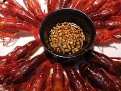 -新凯旋烧烤·燕姐千岛湖土菜