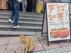 -鸡鸣寺百味斋素菜馆