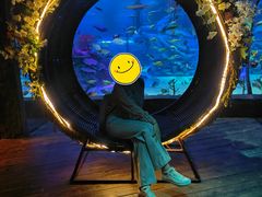 -沈阳海洋探索中心