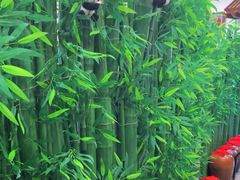 -西江美食舫·江西菜(健德桥店)