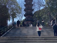 -上海佘山国家森林公园西佘山园