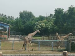 -西安秦岭野生动物园