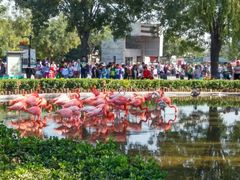 -石家庄市动物园