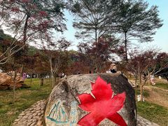 -广州市帽峰山景区