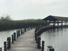-太湖湖滨国家湿地公园-停车场