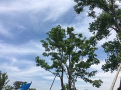 -长兴岛郊野公园农场食堂