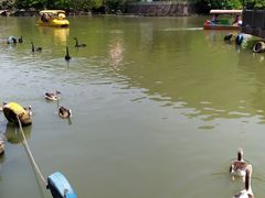 -无锡动物园·太湖欢乐园