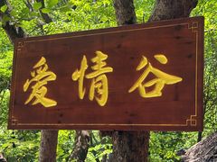 -红崖峡谷景区