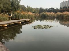-前关湿地公园