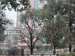 -成都市活水公园