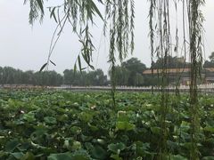 -五道口枣糕王(成府路店)