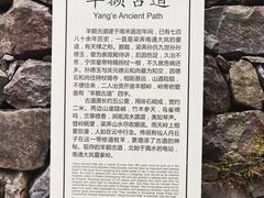 -四明山国家森林公园