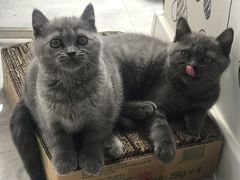 -宠颐生动物医院·心脏科·保险定点(锦阳分院)