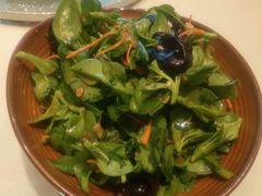 -海派美食·家宴海鲜青岛菜·石锅鲽鱼头(东方城店)