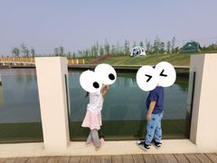 -春花秋色城市公园