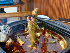 三角峰-金海椒罐罐鲢鱼(东方桂苑店)