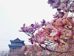 -北京明城墙遗址公园