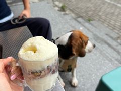 -苏记奶酪(二中店)