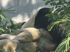 -石排湾郊野公园