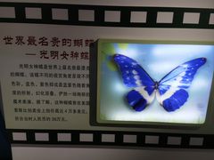 -上海昆虫博物馆