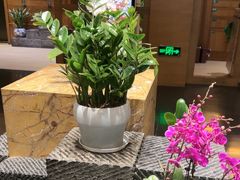 -黔蘑菇四季餐厅(观山湖店)