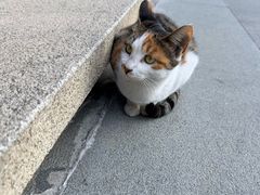-霖公馆SPA·足道(普善路店)
