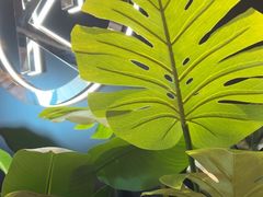 -卡朋西餐(宝安大仟里店)