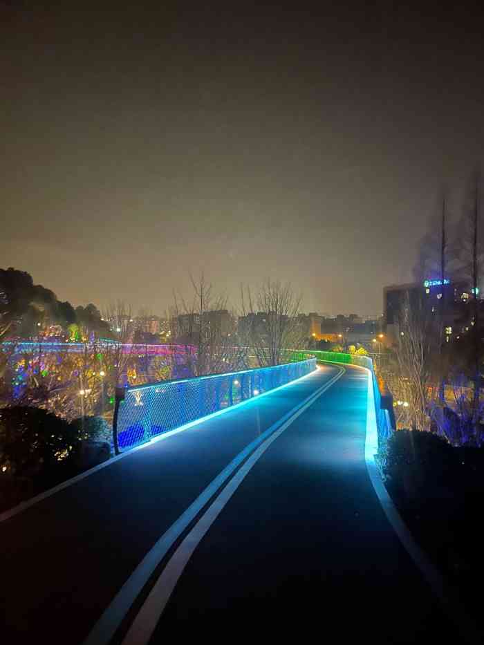 杭州临平山夜景图片