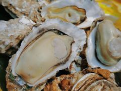 桑拿蠔-天宝食坊·啫啫煲大排档(西华路店)