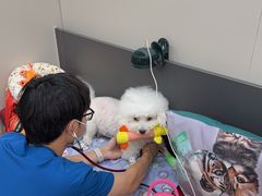 -御宝贝24h宠物医院·转诊中心·CT核磁血透中心(厦门总院)
