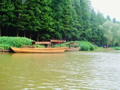 -溱湖国家湿地公园