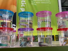 -宠物世家(仲盛世界商城店)