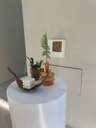 -VE专注问题肌·赛诺龙&科学美肤中心