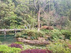 -杭州半山国家森林公园