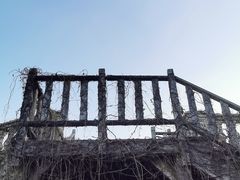 -黑石礁公园