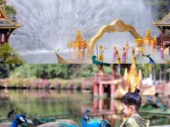 -西双版纳原始森林公园